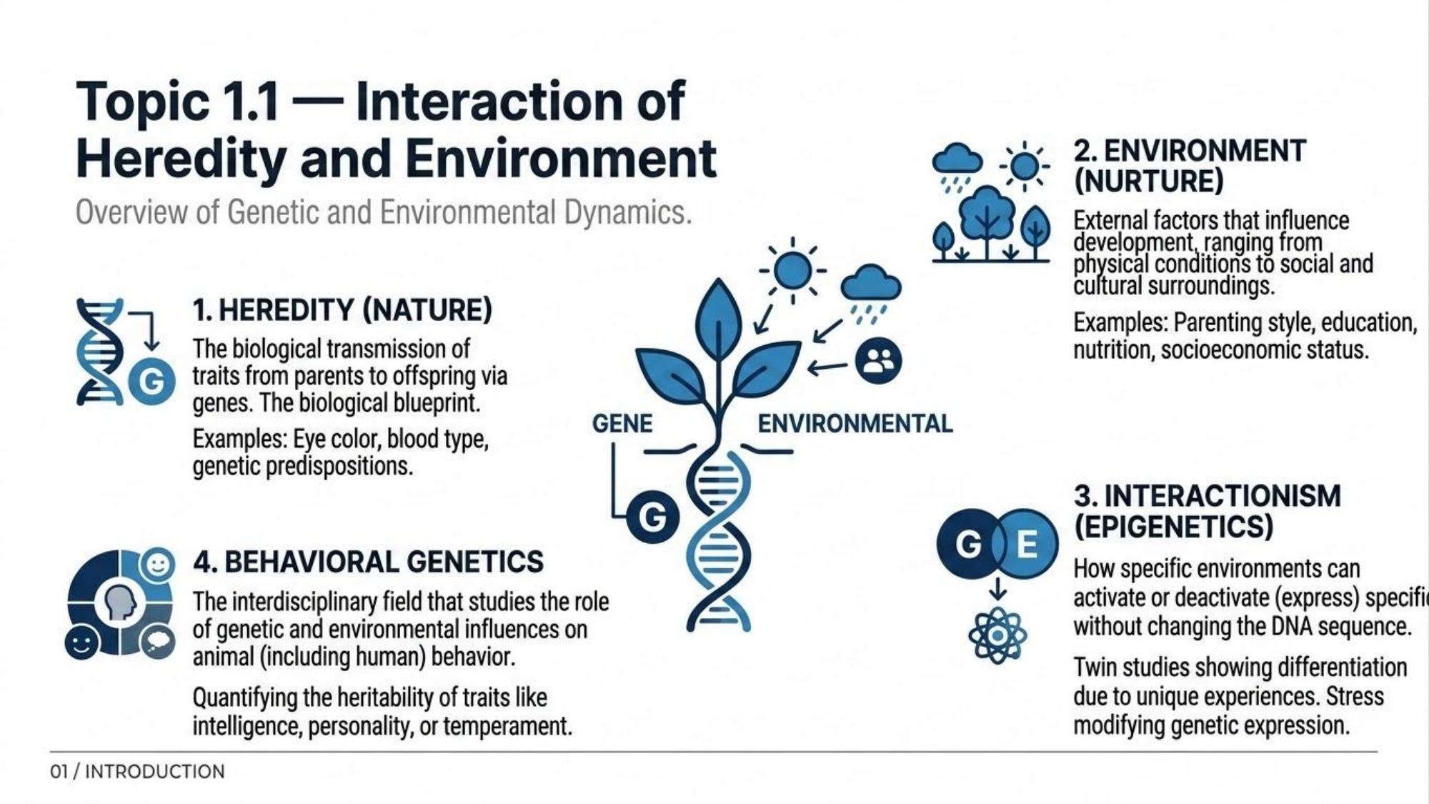 Unit 1 Visual Review slide 2