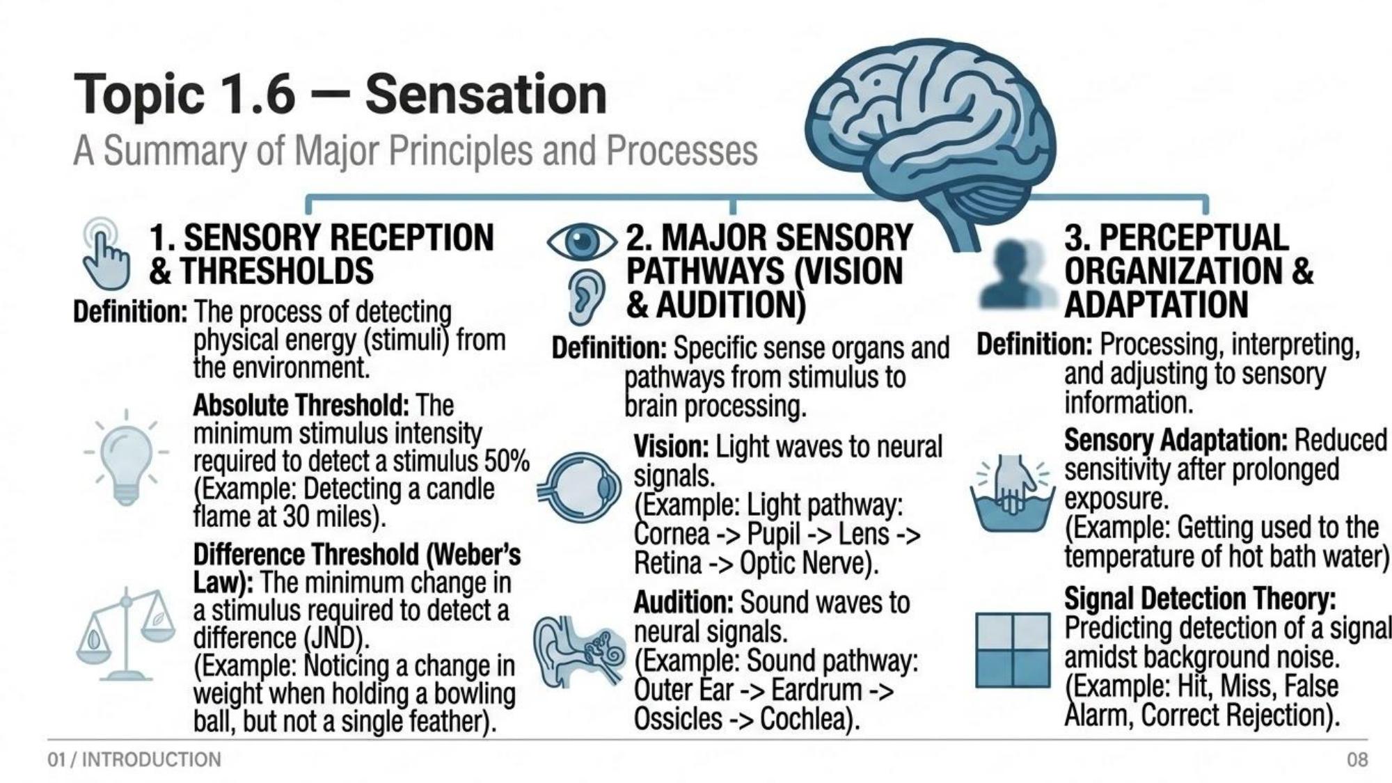 Unit 1 Visual Review slide 7