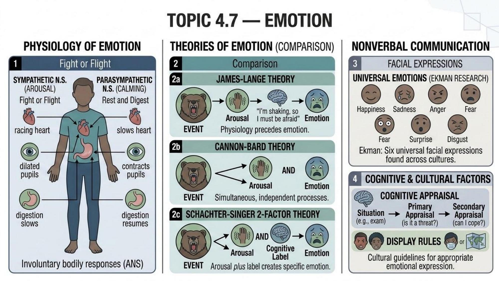 Unit 4 Visual Review slide 8
