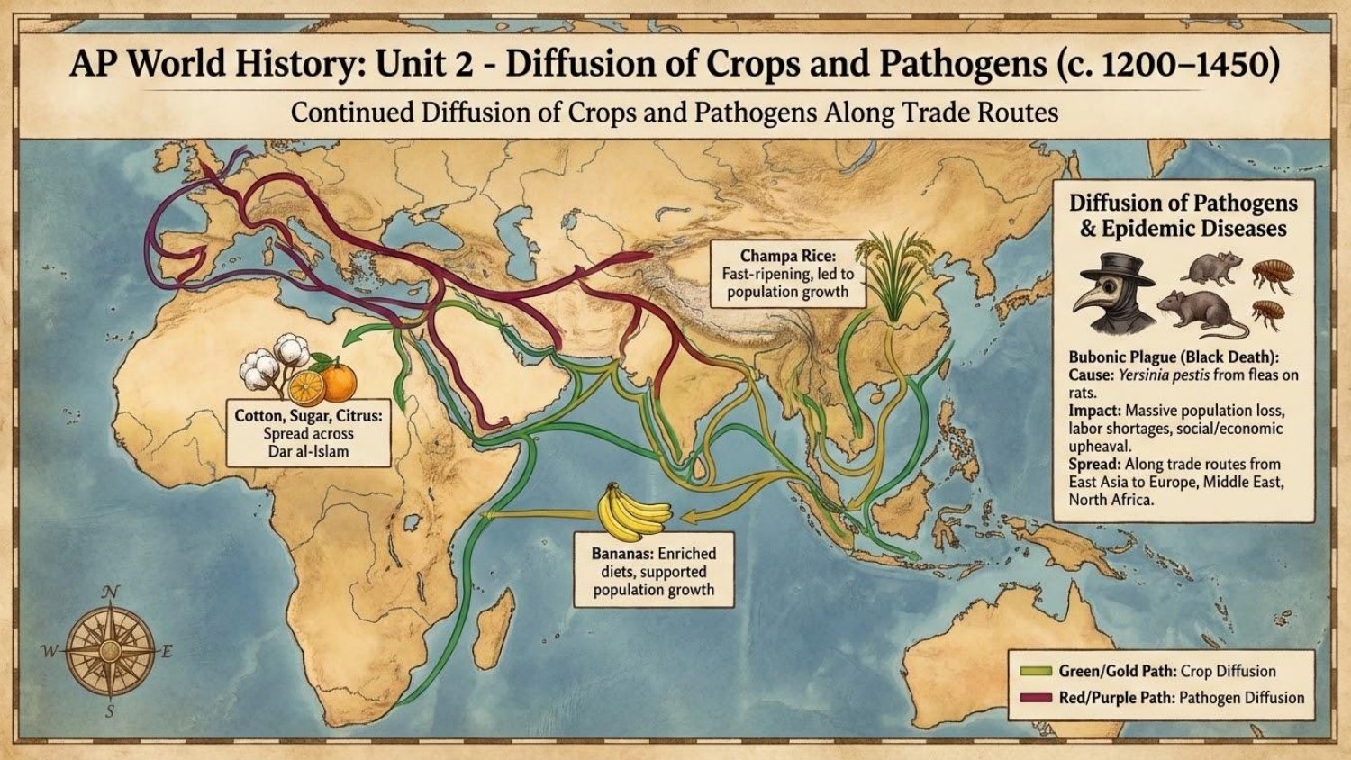 Unit visual review slide 26