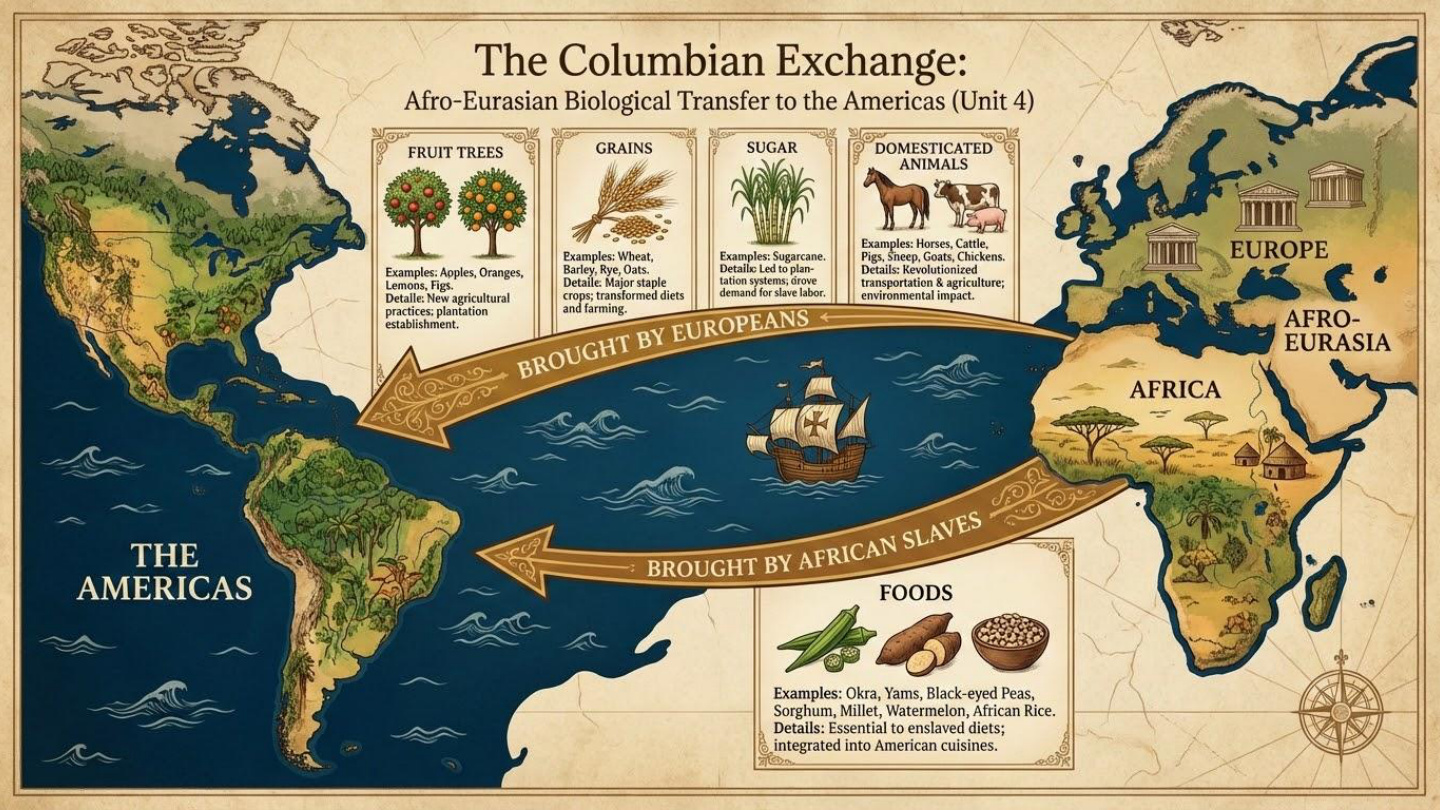 Unit visual review slide 13